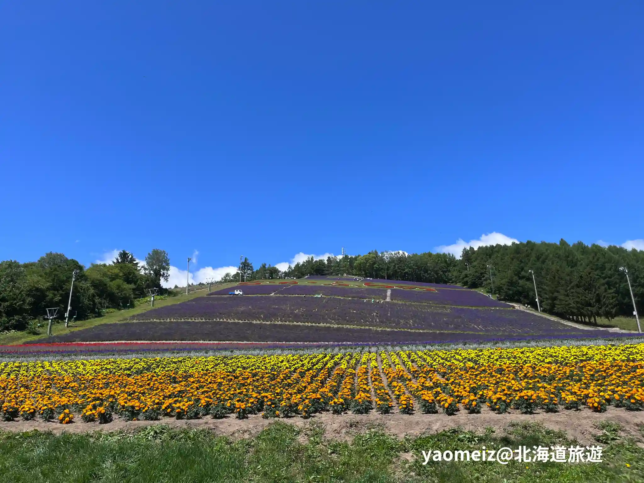 北星山薰衣草園