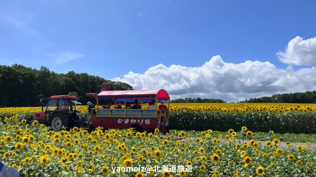 北竜町向日葵之里