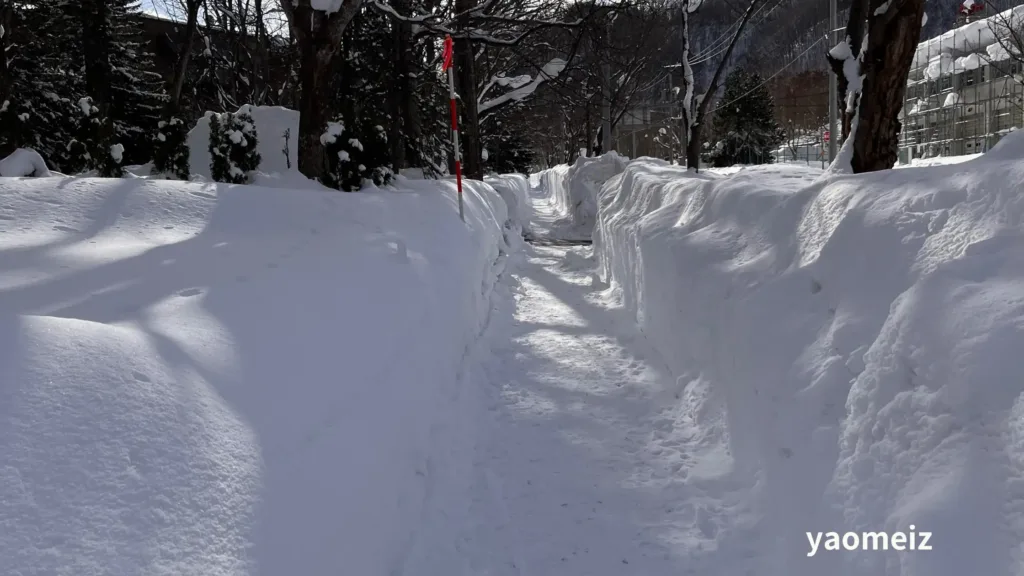 北海道旅遊雪靴怎麼選？雪靴選購要點與推薦鞋款