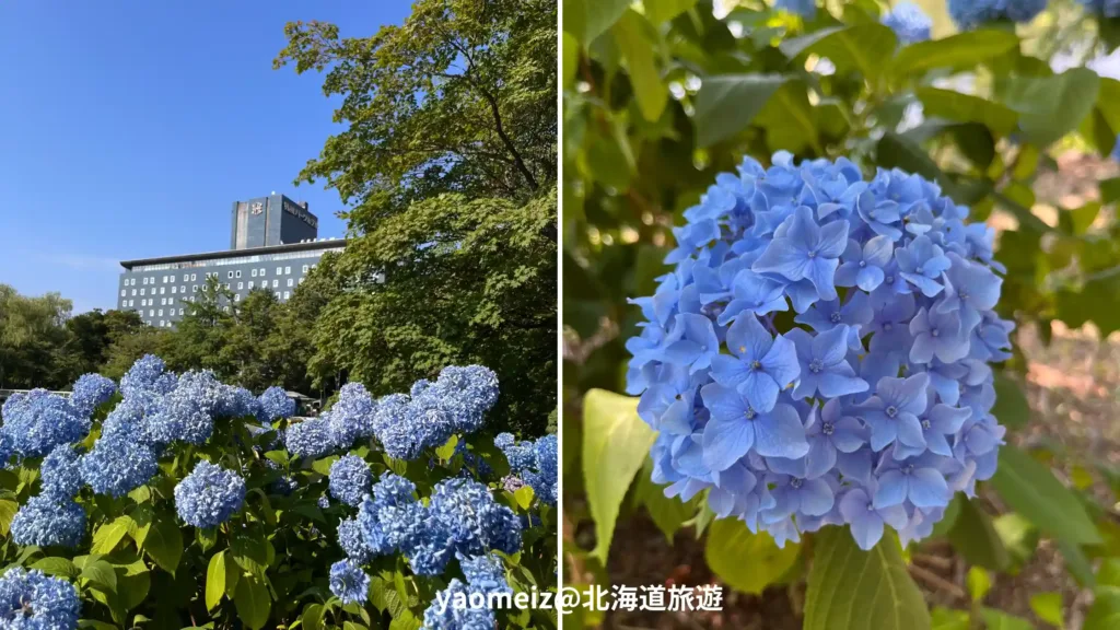 中島公園