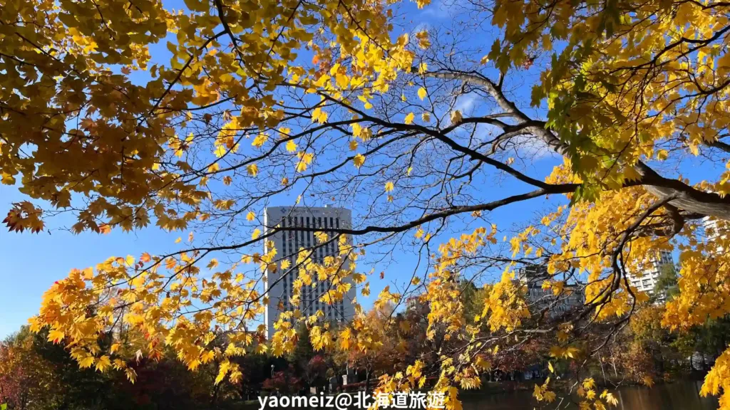 中島公園