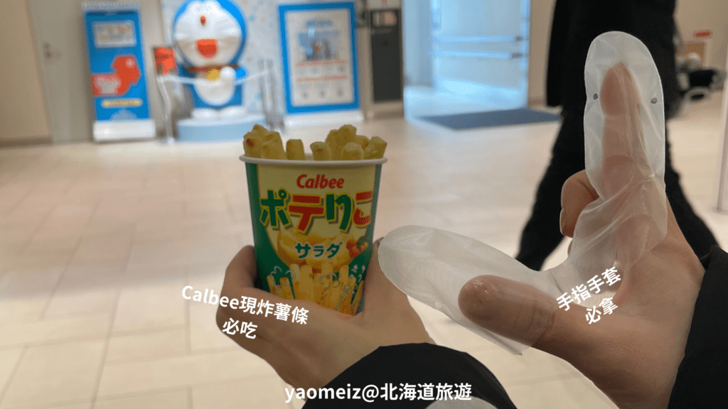 北海道到青森ANA國內班機