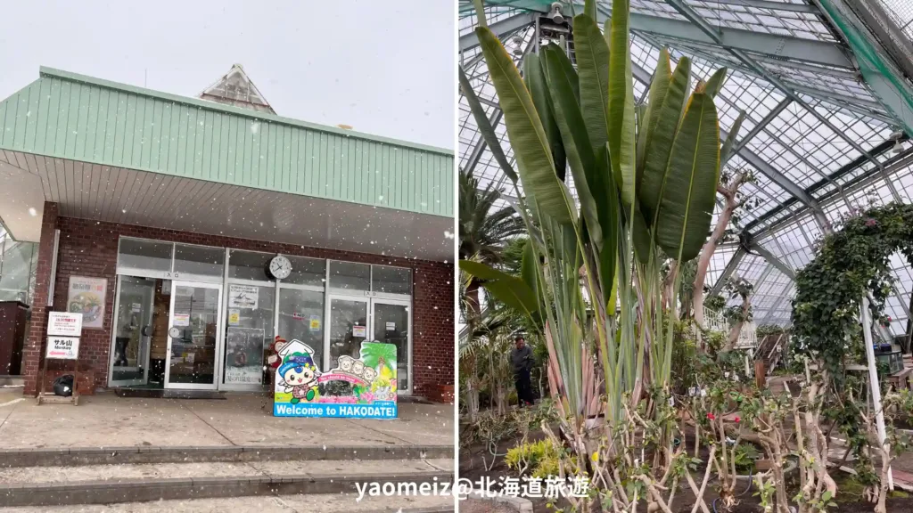 函館市熱帶植物園