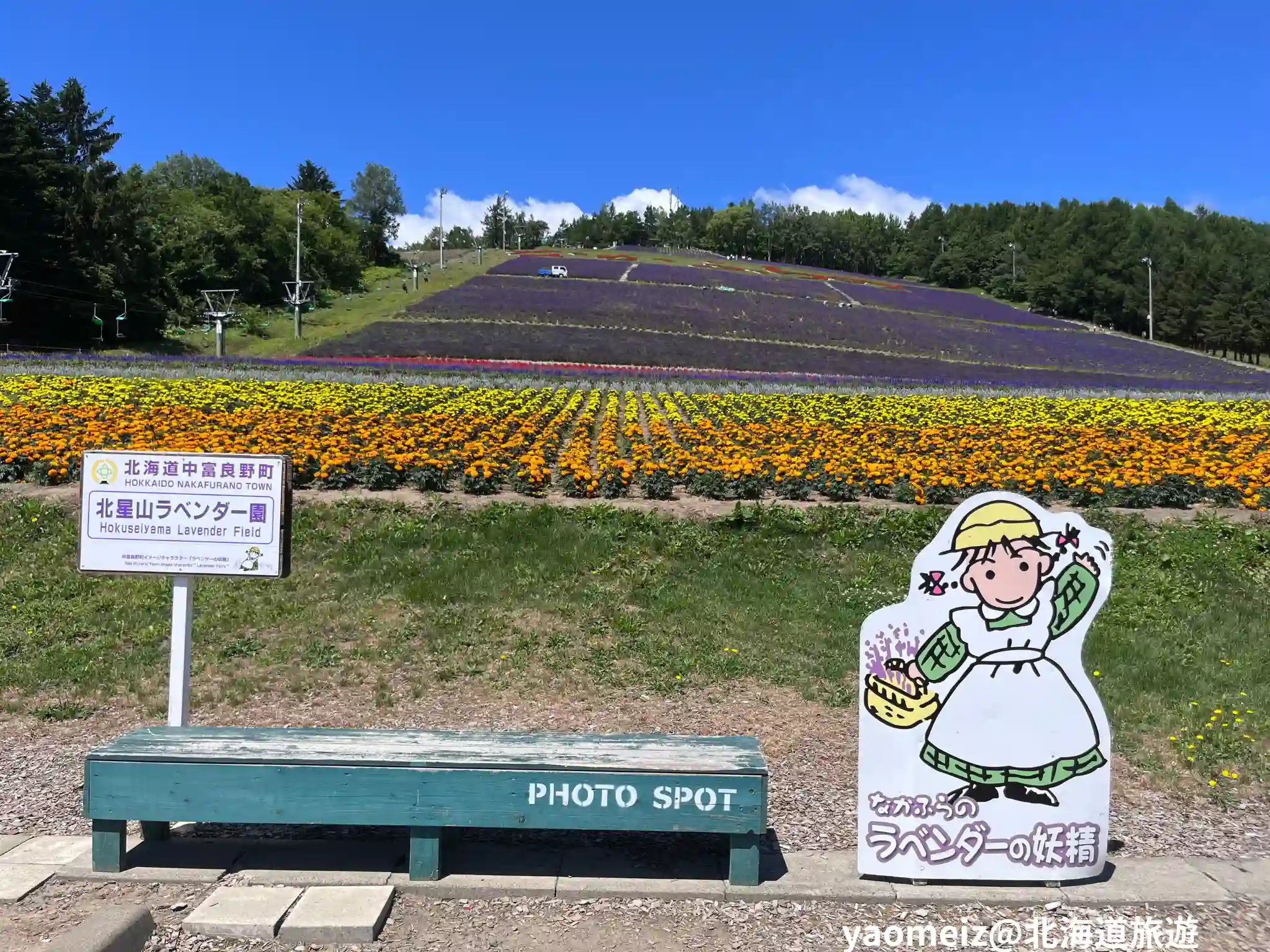 北星山薰衣草園