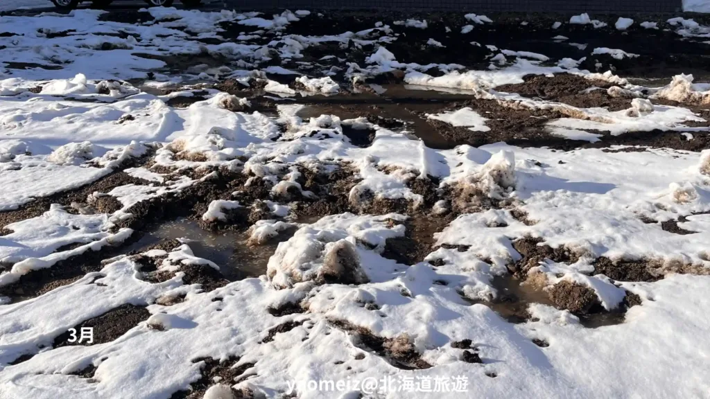 北海道幾月開始下雪