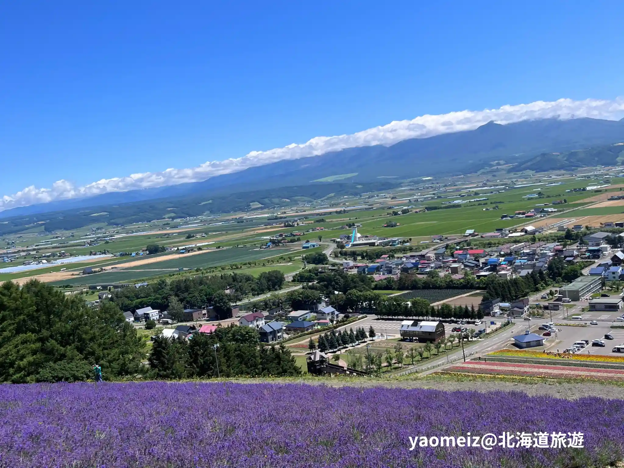 北星山薰衣草園