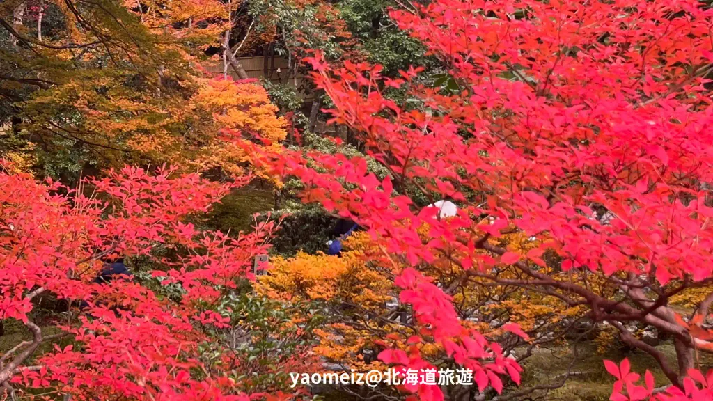 銀閣寺