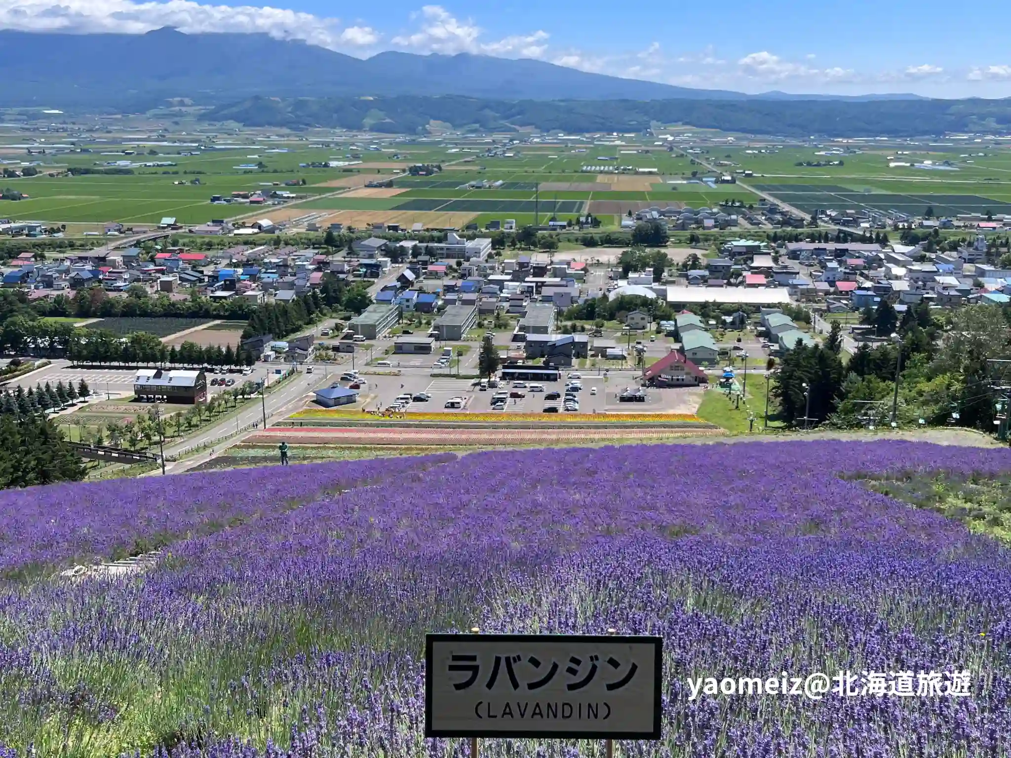 北星山薰衣草園