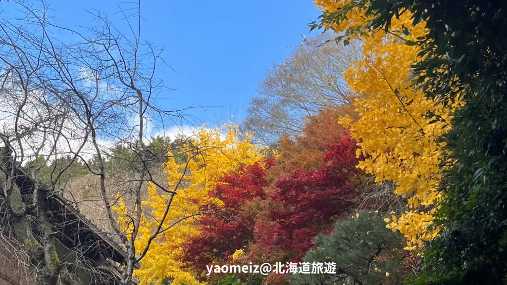 銀閣寺