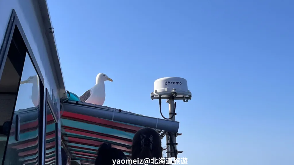 積丹半島巴士一日遊