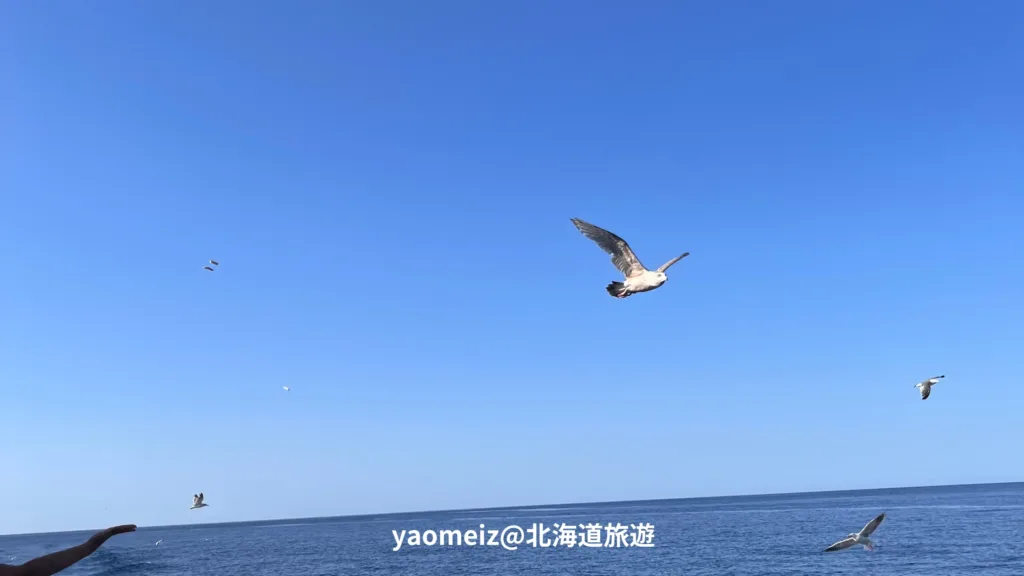 積丹半島巴士一日遊