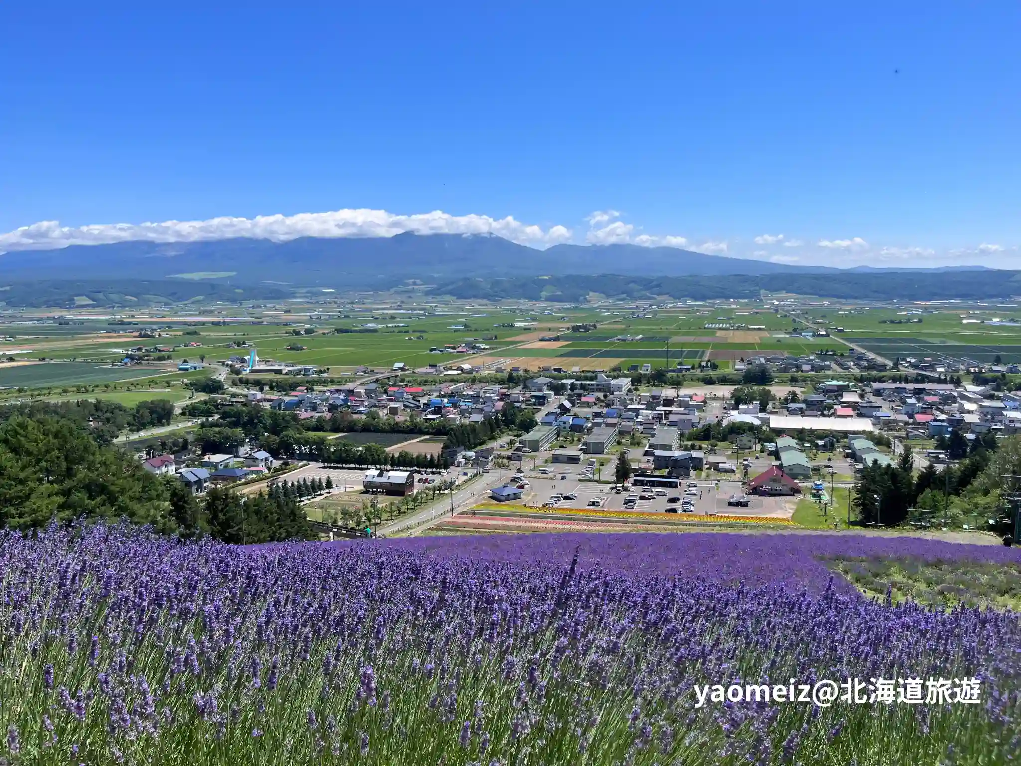 北星山薰衣草園