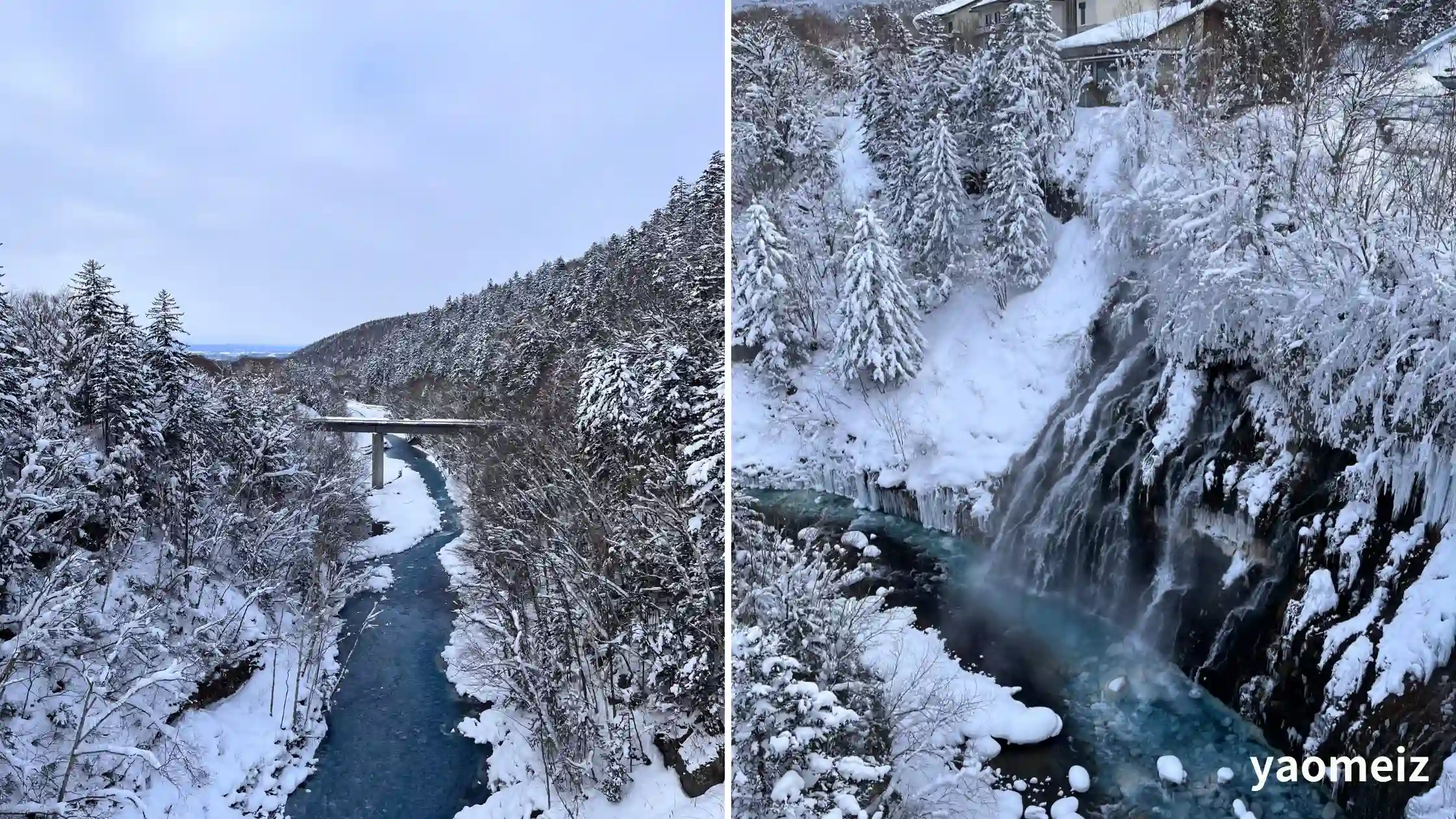 札幌富良野區域鐵路周遊券