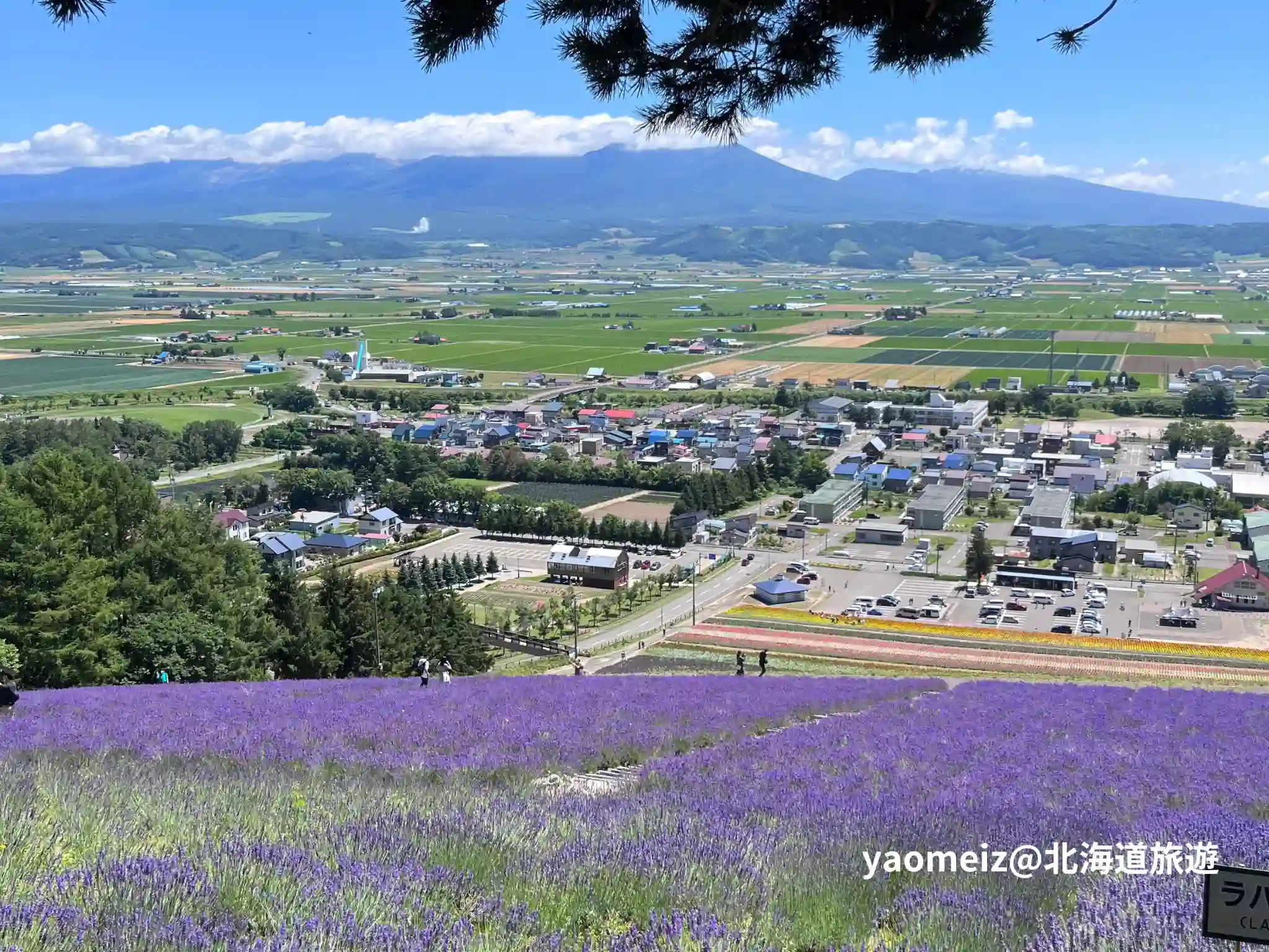 北星山薰衣草園