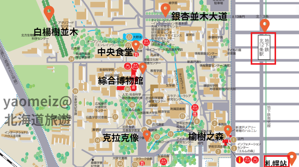 北海道大學賞楓