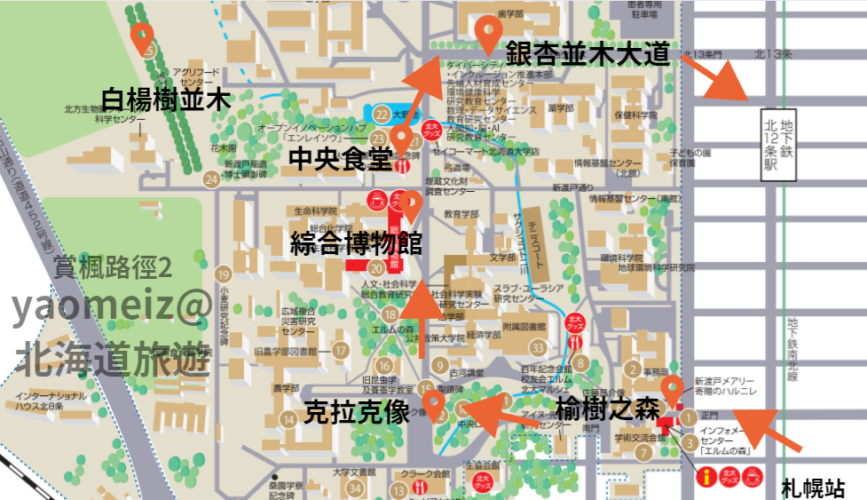 北海道大學賞楓