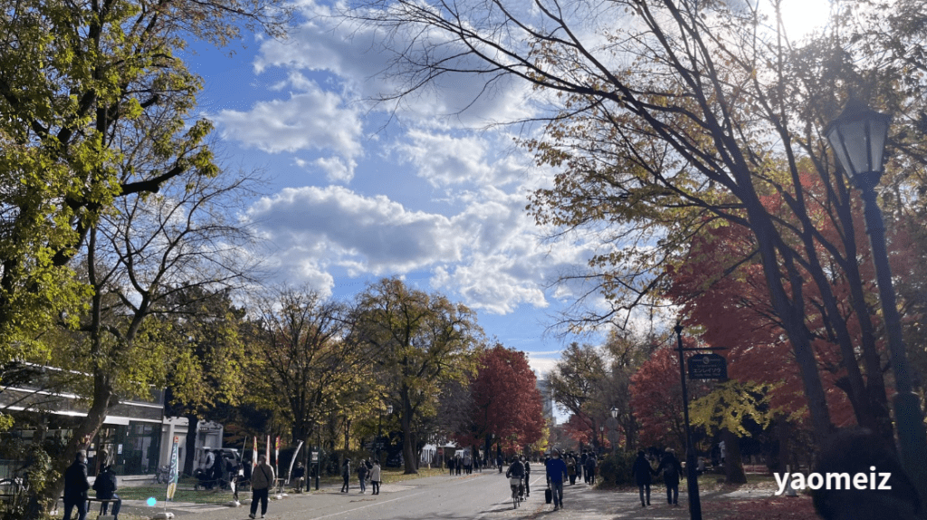 北海道大學賞楓